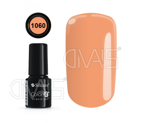 Semipermanente 1060 Silcare Color.It 6g