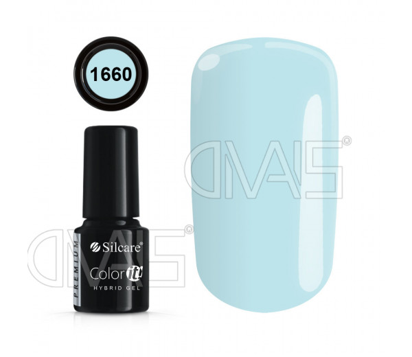 Semipermanente 1660 Silcare Color.It 6g