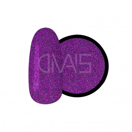 Glitter Nail Ds 24