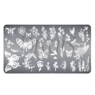 Piastra Stamping Fantasy FG047